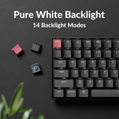 Keychron K2 75% Layout QMK Wireless and Wired Options Mechanical Keyboard Super Brown Switch, Paired with Shine-Through Double-Shot PBT Keycaps for Mac Windows-Version 3