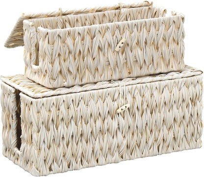 Cable Management Box,Boho Decorative Handwoven 2 Open Slots Cord Organizer Hider Box with Lid for TV Wires, Computer, Router, USB Hub and Under Desk Power Strip