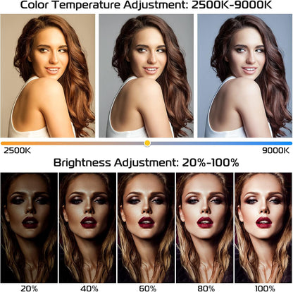 ULANZI Smartphone Video Rig with Light, U-Rig Light Cell Phone Handheld Stabilizer with Ring Light 2500K-9000K CRI 90+ for Filmmaking Live Steam YouTube Video Recording, with 5000mAh Build-in Battery