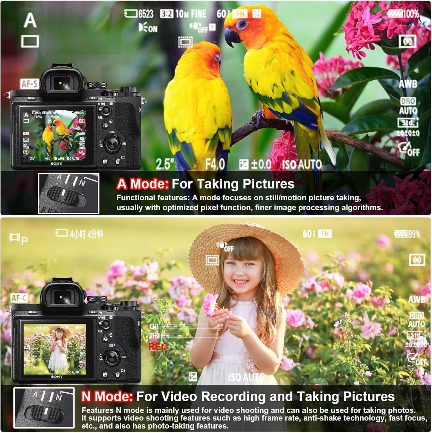 GEORDGY Lens Mount Adapter, EF-SE Pro for Canon EF/EF-S Lenses, Compatible with Sony E-Mount Series Cameras, Custom Assignable Functions to Focus Lock Button