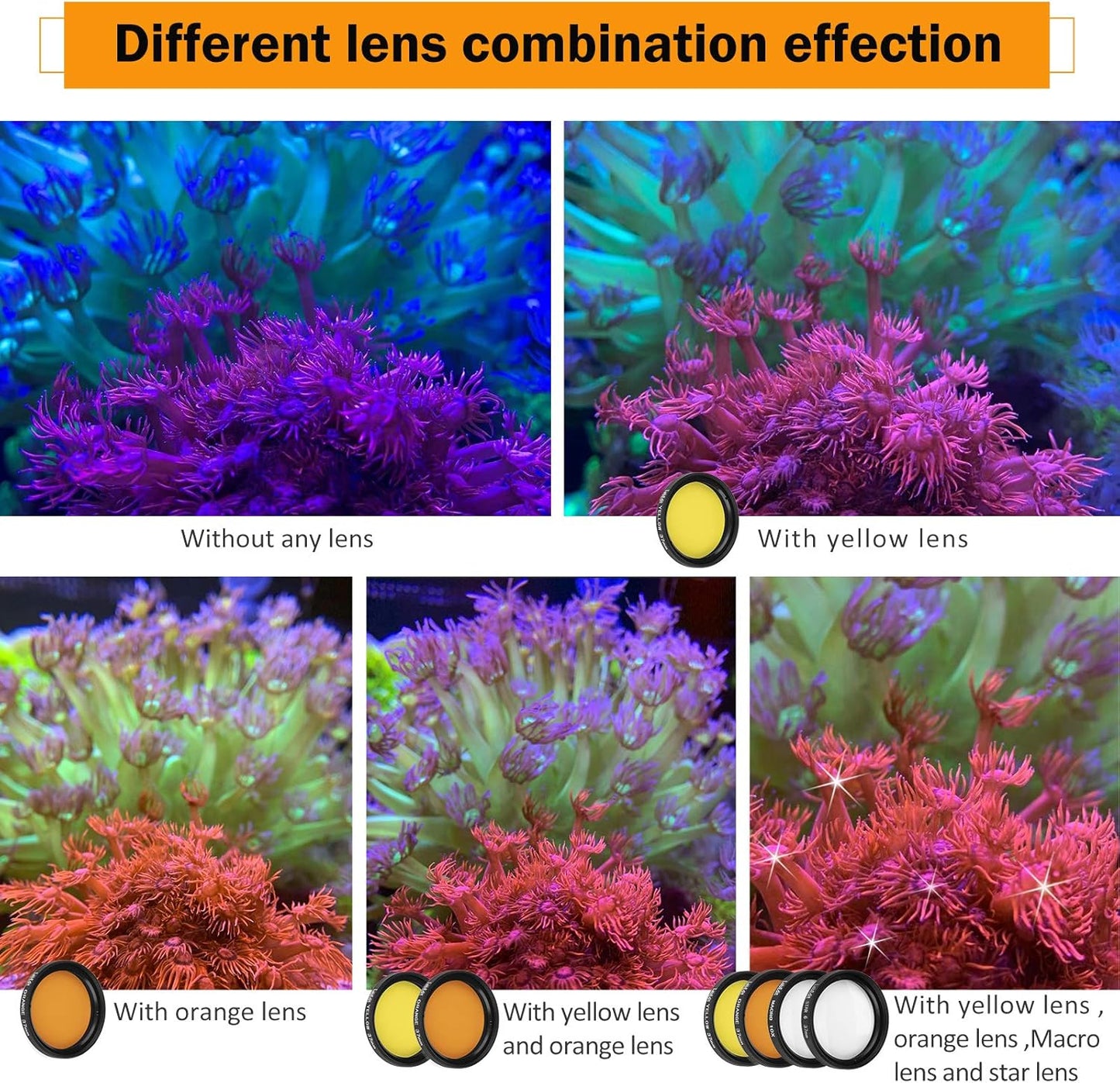 Reef Coral Lens Phone Kits 5 Lenses Kit 1 Dust Shield Case 2 Lens Clips