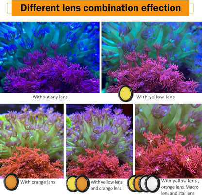 Reef Coral Lens Phone Kits 5 Lenses Kit 1 Dust Shield Case 2 Lens Clips