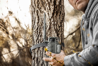 SPYPOINT 32GB Micro SD Memory Card Trail for Cameras | Adapter Media Storage for Trail and Game Cameras Designed | Used in Hunting and Trail Cams (Class 10 Speed)