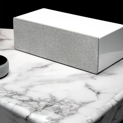 Audioengine All in One A2+ (B2) Portable Wireless Speaker - Audio with Lossless aptX Bluetooth and Analog Audio Input for Phone, Tablet, and Computers