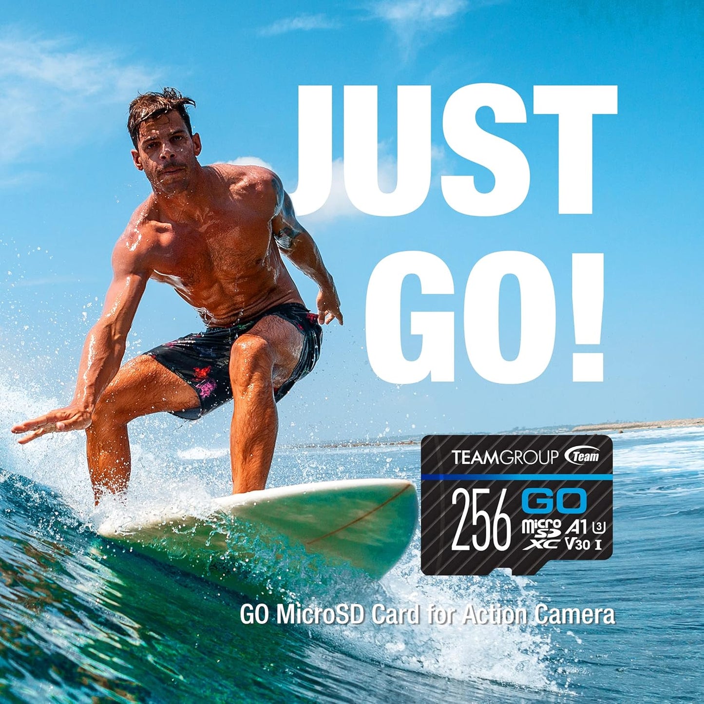 TEAMGROUP GO Card 256GB x 2 Pack Micro SDXC UHS-I U3 V30 4K for GoPro & Action Cameras High Speed Flash Memory Card with Adapter for Outdoor, Sports, 4K Shooting TGUSDX256GU364