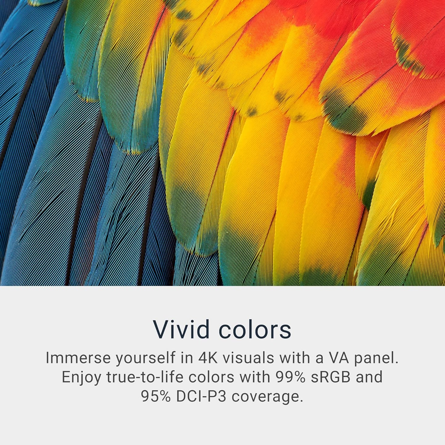 Dell 32 Plus 4K Monitor - S3225QS - 31.5-inch 4K (3840 x 2160) up to 120Hz 16:9 Display, VA Panel, AMD FreeSync Premium, 99% sRGB, 95% DCI-P3, 1500:1 Contrast Ratio, Comfortview Plus - Ash White